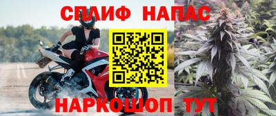 шишки Бузулук