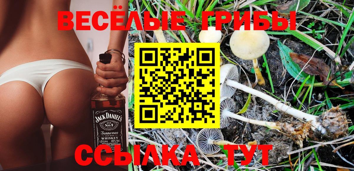 Псилоцибиновые грибы мухоморы Симферополь